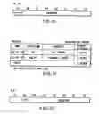 Fig. 31 - Information recording method, information recording medium, and information reproducing method, wherein information is stored on a data recording portion and a management information recording portion