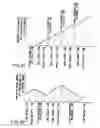 Fig. 16 - Information storage medium and information recording/playback system