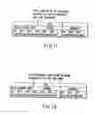 Fig. 10 - Information storage medium and information recording/playback system