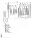 Fig. 05 - Diagnostic device, diagnostic system, diagnostic method, program and storage medium