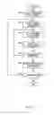 Fig. 10 - Printing method, storage medium, medium, printing apparatus, method for detecting end of image, method for detecting carrying unevenness of medium, and device for detecting carrying unevenness of medium