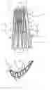 Fig. 01 - Gas turbine moving blade having a platform, a method of forming the moving blade, a sealing plate, and a gas turbine having these elements