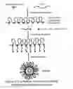 Fig. 03 - Amphiphilic polymers and methods of use thereof