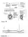 Fig. 06 - Amphiphilic polymers and methods of use thereof