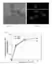 Fig. 09 - Amphiphilic polymers and methods of use thereof