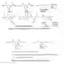 Fig. 17 - Amphiphilic polymers and methods of use thereof