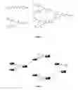 Fig. 02 - Multi-triggered self-immolative dendritic compounds