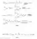Fig. 03 - Multi-triggered self-immolative dendritic compounds