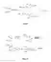 Fig. 06 - Multi-triggered self-immolative dendritic compounds