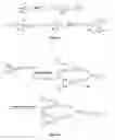 Fig. 16 - Multi-triggered self-immolative dendritic compounds