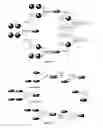 Fig. 19 - Multi-triggered self-immolative dendritic compounds