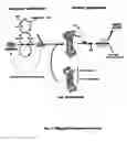 Fig. 04 - New Ubiquitin-Proteasome Regulating Compounds and Their Application in Cosmetic and Pharmaceutical Formulations