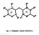Fig. 06 - New Ubiquitin-Proteasome Regulating Compounds and Their Application in Cosmetic and Pharmaceutical Formulations