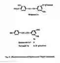 Fig. 09 - New Ubiquitin-Proteasome Regulating Compounds and Their Application in Cosmetic and Pharmaceutical Formulations