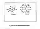 Fig. 10 - New Ubiquitin-Proteasome Regulating Compounds and Their Application in Cosmetic and Pharmaceutical Formulations