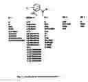 Fig. 12 - New Ubiquitin-Proteasome Regulating Compounds and Their Application in Cosmetic and Pharmaceutical Formulations
