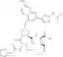 Fig. 10 - Interferon-IgG fusion