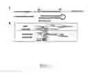 Fig. 02 - Small interference RNA gene therapy