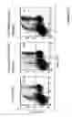Fig. 84 - Modulation of cytokine signaling regulators and applications for immunotherapy