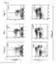 Fig. 02 - Composition for nkt cell activation