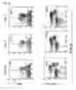 Fig. 03 - Composition for nkt cell activation