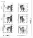 Fig. 04 - Composition for nkt cell activation