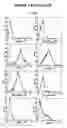 Fig. 04 - Stromal antigen-presenting cells and use thereof
