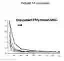 Fig. 20 - Stromal antigen-presenting cells and use thereof
