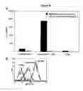 Fig. 23 - Stromal antigen-presenting cells and use thereof