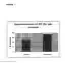 Fig. 07 - ISOLATION OF CELLS FROM BONE