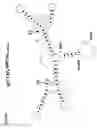 Fig. 04 - RNA interference compositions and methods