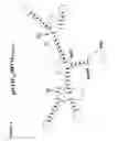 Fig. 05 - RNA interference compositions and methods