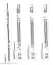 Fig. 13 - RNA interference compositions and methods