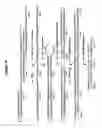 Fig. 26 - RNA interference compositions and methods