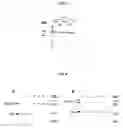 Fig. 04 - Inhibitor proteins of a protease and use thereof