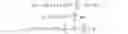 Fig. 04 - Serine proteases with altered sensitivity to activity-modulating substances