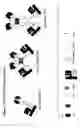 Fig. 04 - Targeted CD1d molecules