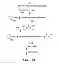 Fig. 02 - Immunoliposome composition for targeting to a HER2 cell receptor