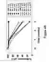 Fig. 06 - Compositions and methods for increasing the stability of antibodies