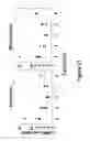 Fig. 30 - Compositions and methods for increasing the stability of antibodies