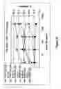 Fig. 13 - Antigen binding molecules that bind EGFR, vectors encoding same, and uses thereof