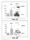 Fig. 06 - Androgen-regulated PMEPA1 gene and polypeptides