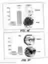 Fig. 07 - Androgen-regulated PMEPA1 gene and polypeptides