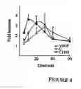 Fig. 05 - Lymphatic endothelial cells materials and methods
