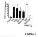 Fig. 06 - Lymphatic endothelial cells materials and methods
