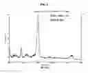 Fig. 06 - Protein complex using an immunoglobulin fragment and method for the preparation thereof