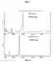 Fig. 09 - Protein complex using an immunoglobulin fragment and method for the preparation thereof
