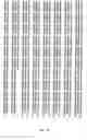 Fig. 06 - DR5 antibodies and articles of manufacture containing same
