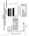 Fig. 35 - DR5 antibodies and articles of manufacture containing same