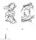 Fig. 03 - Humanized anti-prostate stem cell antigen monoclonal antibody
